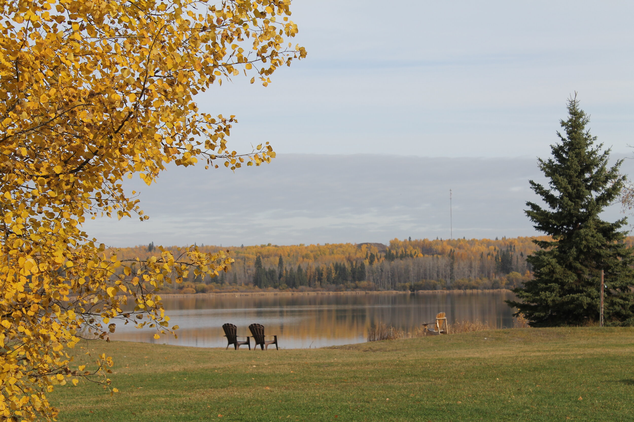 Beautiful autumn lake scene with golden trees